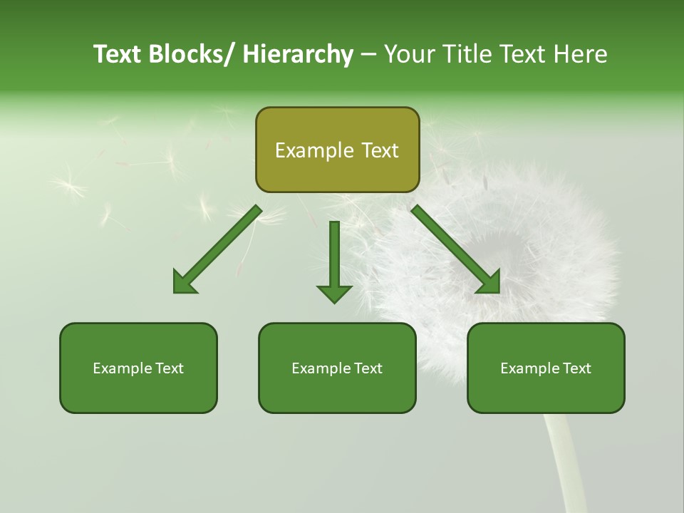 Wind Time Backgrounds PowerPoint Template