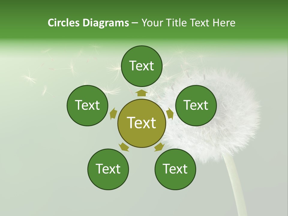 Wind Time Backgrounds PowerPoint Template