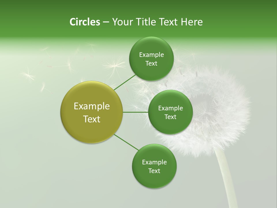 Wind Time Backgrounds PowerPoint Template