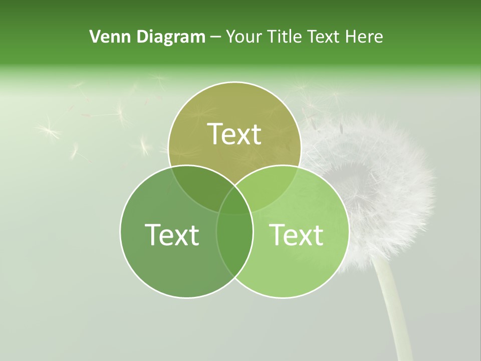 Wind Time Backgrounds PowerPoint Template