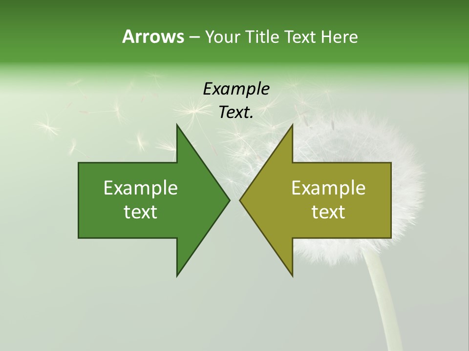 Wind Time Backgrounds PowerPoint Template