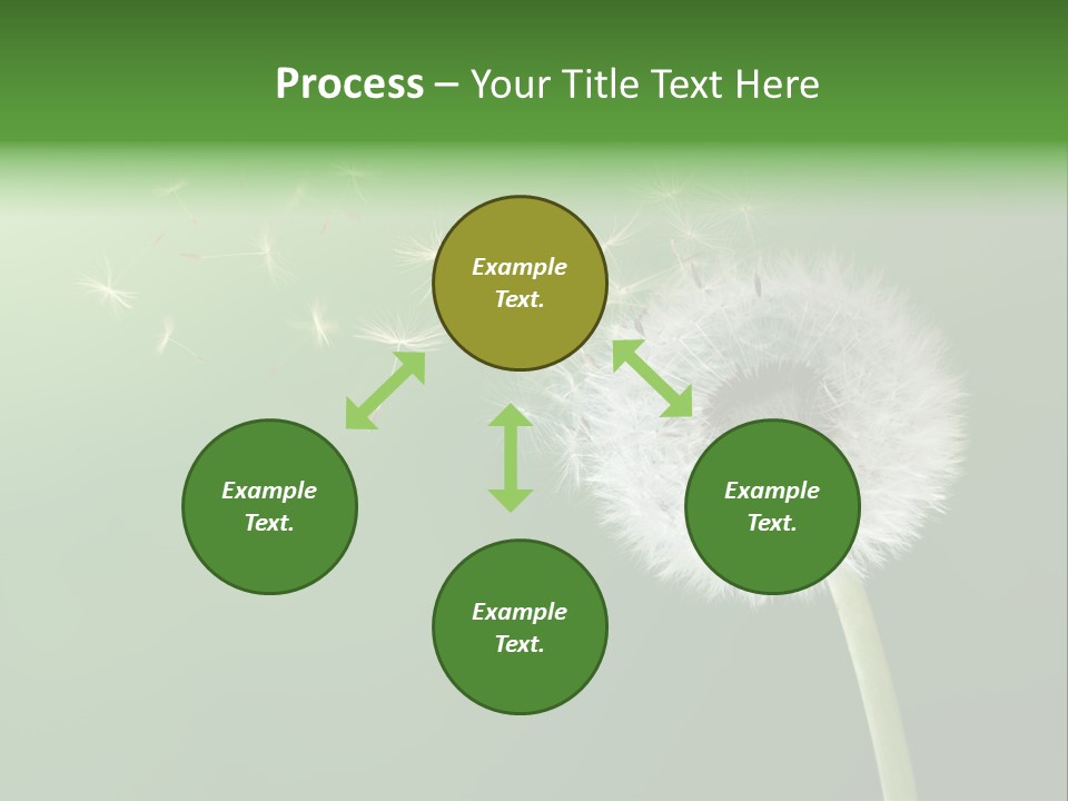 Wind Time Backgrounds PowerPoint Template