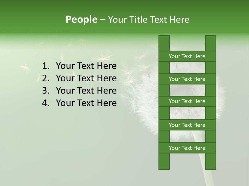 Wind Time Backgrounds PowerPoint Template