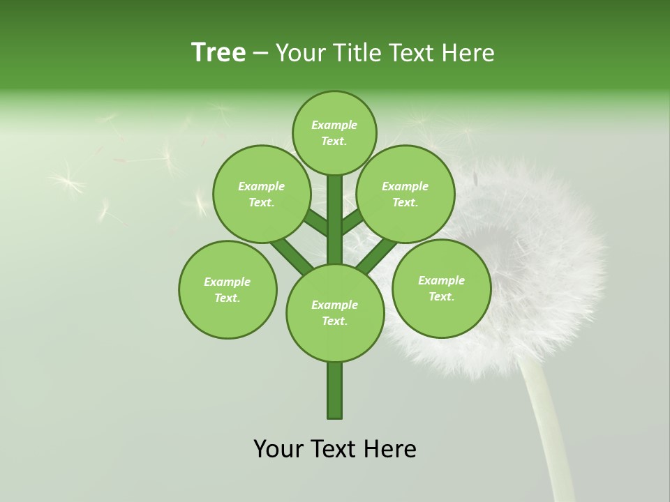 Wind Time Backgrounds PowerPoint Template