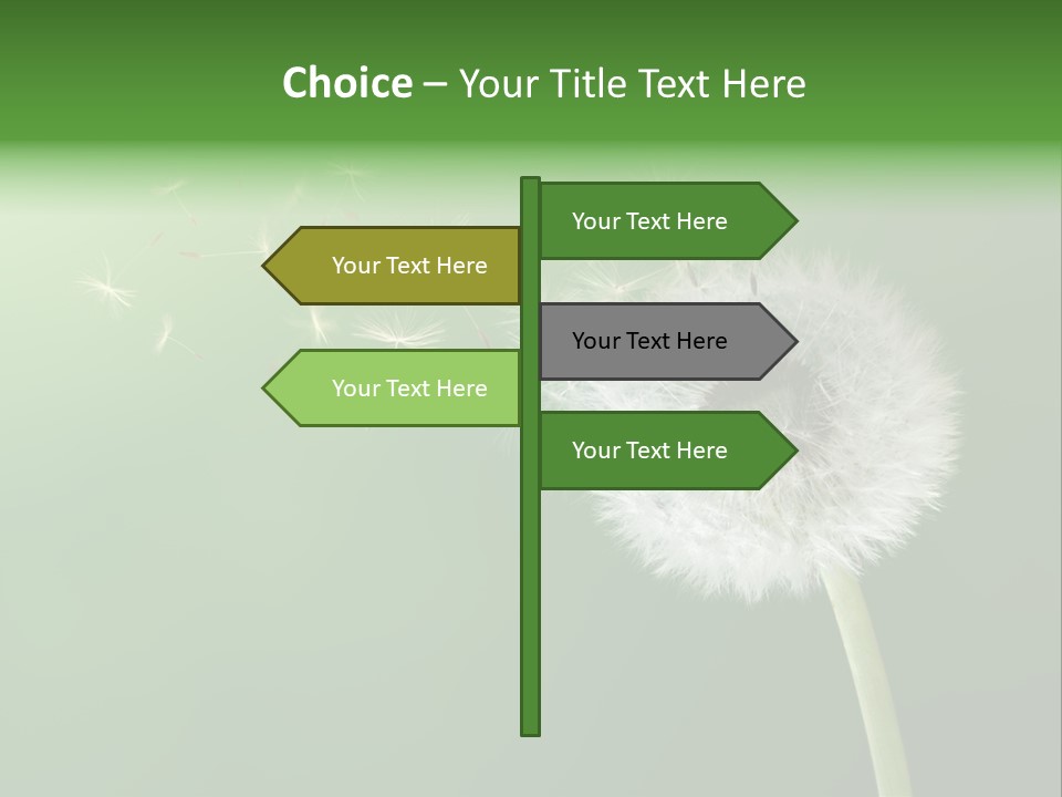 Wind Time Backgrounds PowerPoint Template