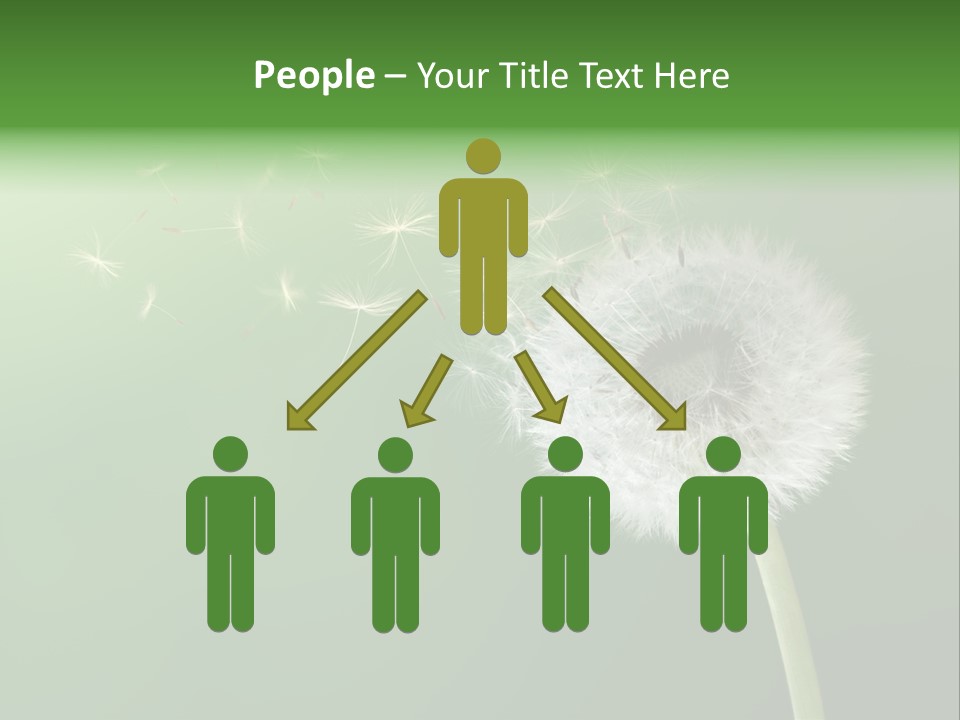 Wind Time Backgrounds PowerPoint Template