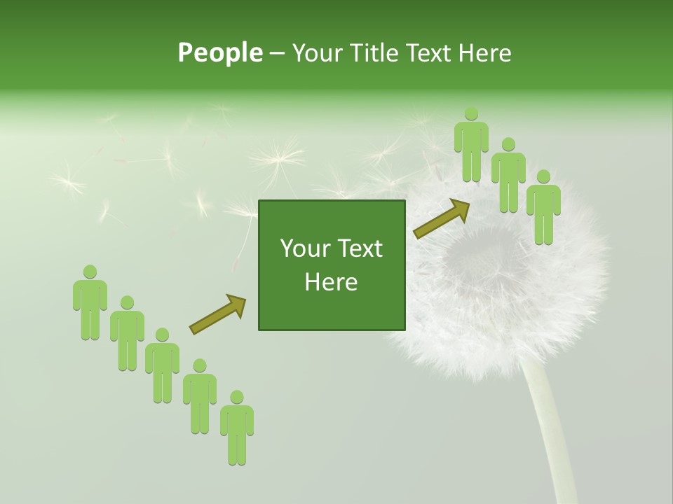 Wind Time Backgrounds PowerPoint Template