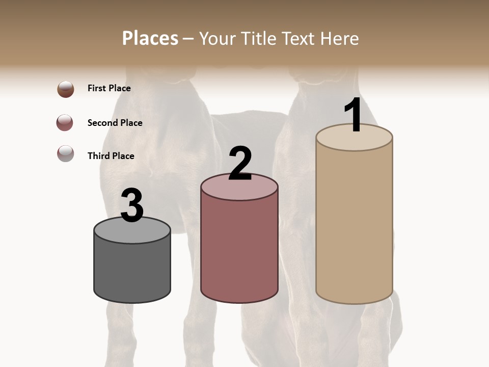 Mammal Purebred No People PowerPoint Template