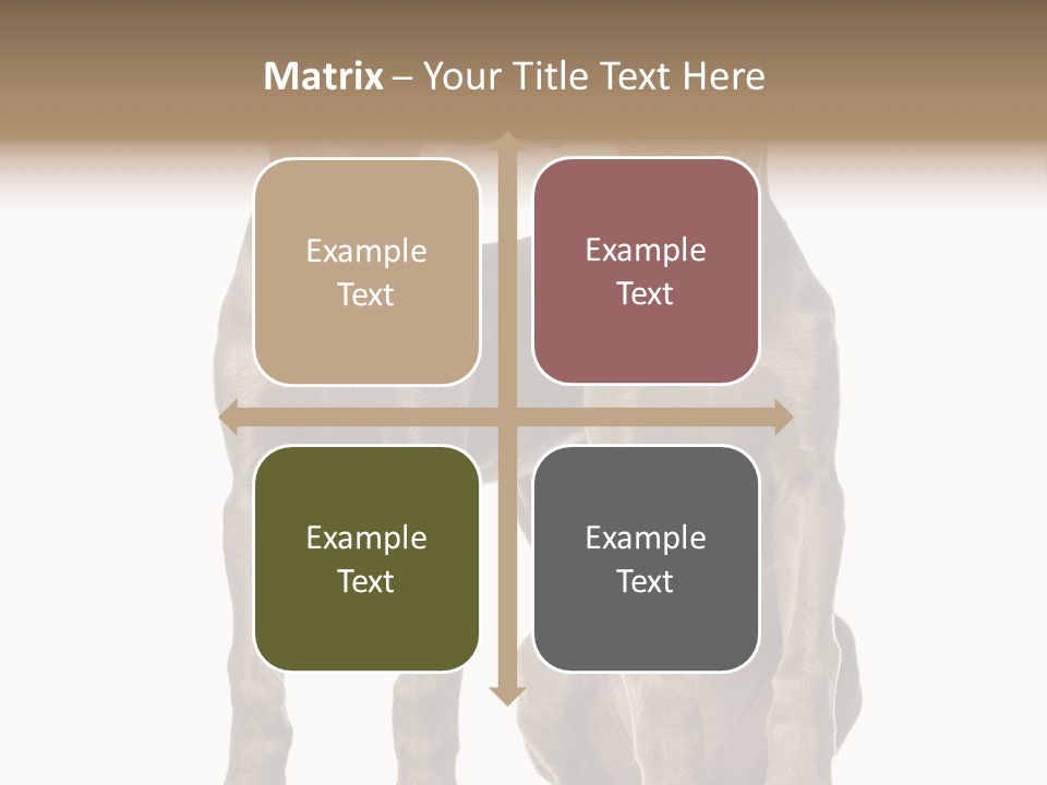 Mammal Purebred No People PowerPoint Template