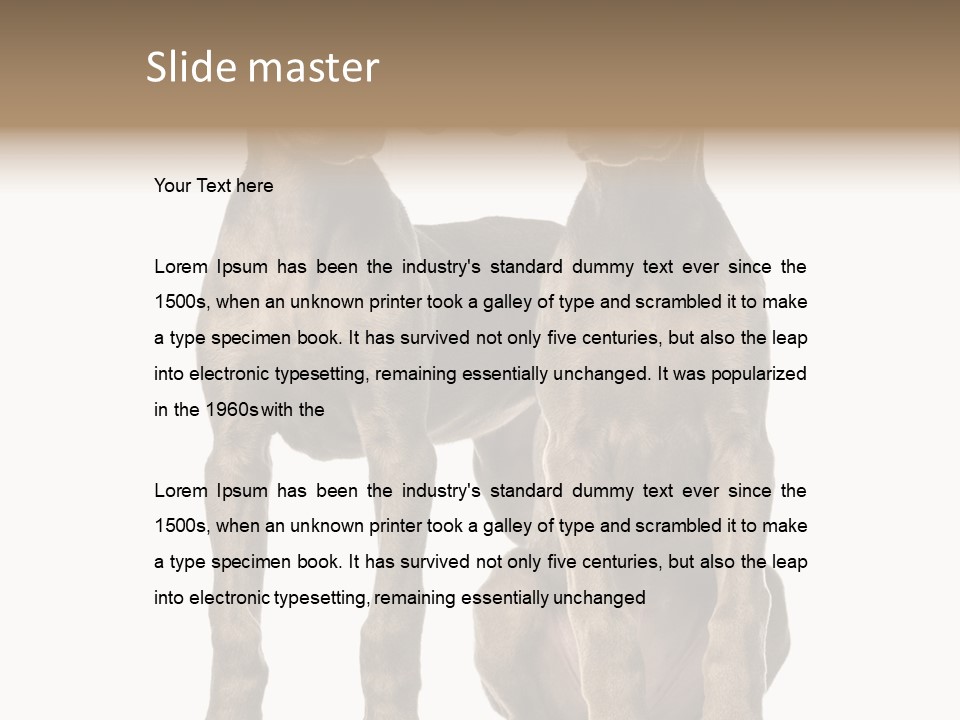 Mammal Purebred No People PowerPoint Template