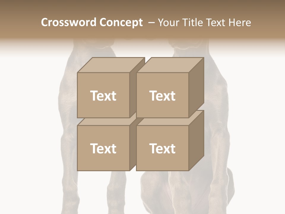 Mammal Purebred No People PowerPoint Template