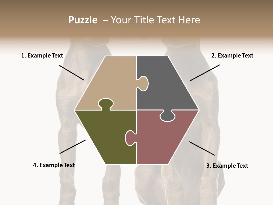 Mammal Purebred No People PowerPoint Template