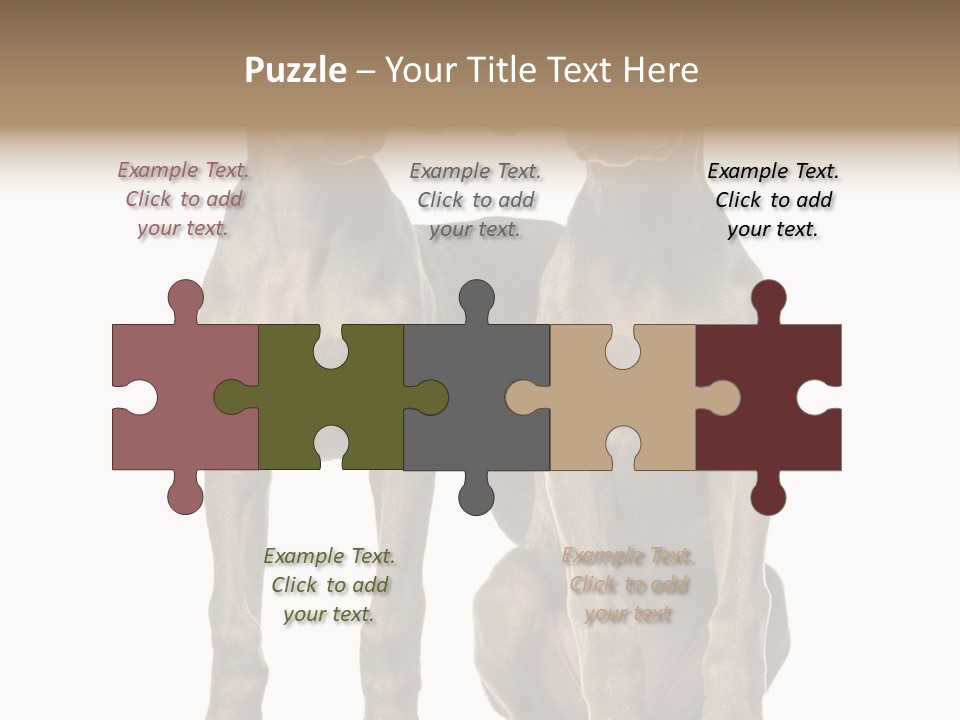 Mammal Purebred No People PowerPoint Template