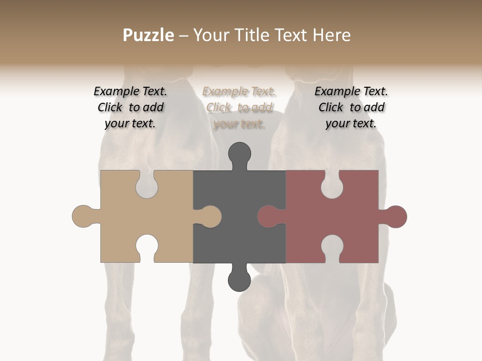 Mammal Purebred No People PowerPoint Template