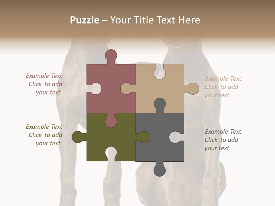 Mammal Purebred No People PowerPoint Template