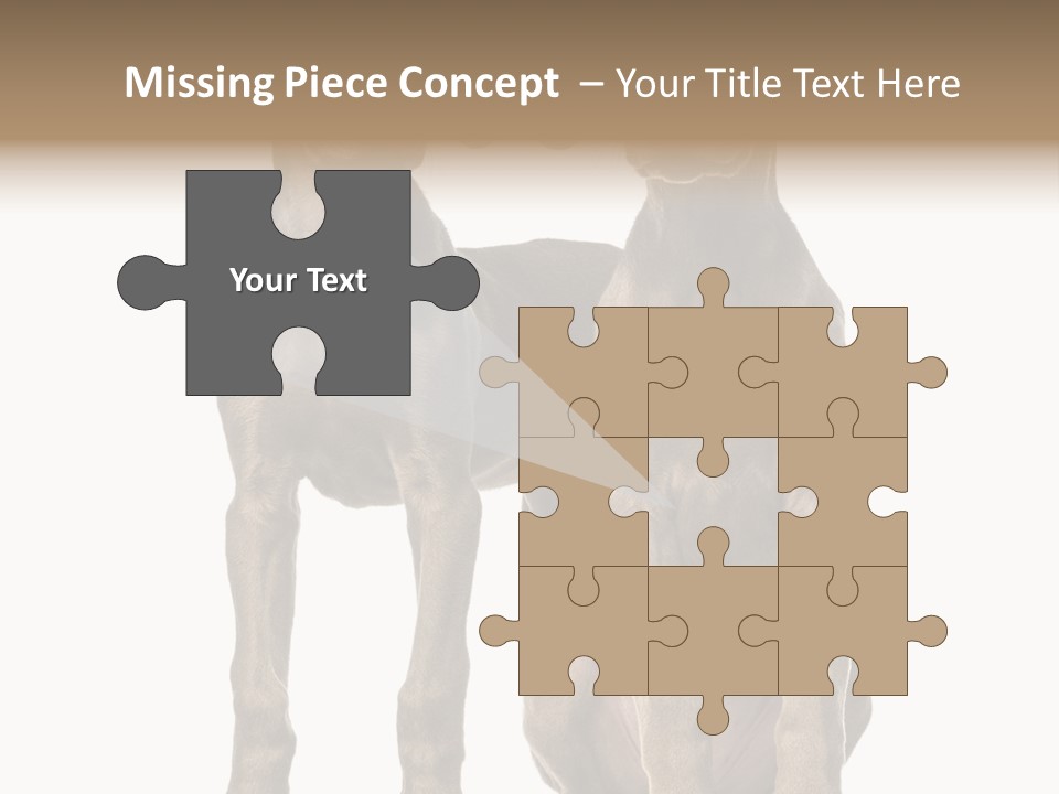 Mammal Purebred No People PowerPoint Template