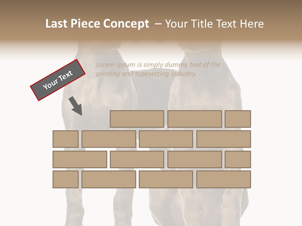 Mammal Purebred No People PowerPoint Template