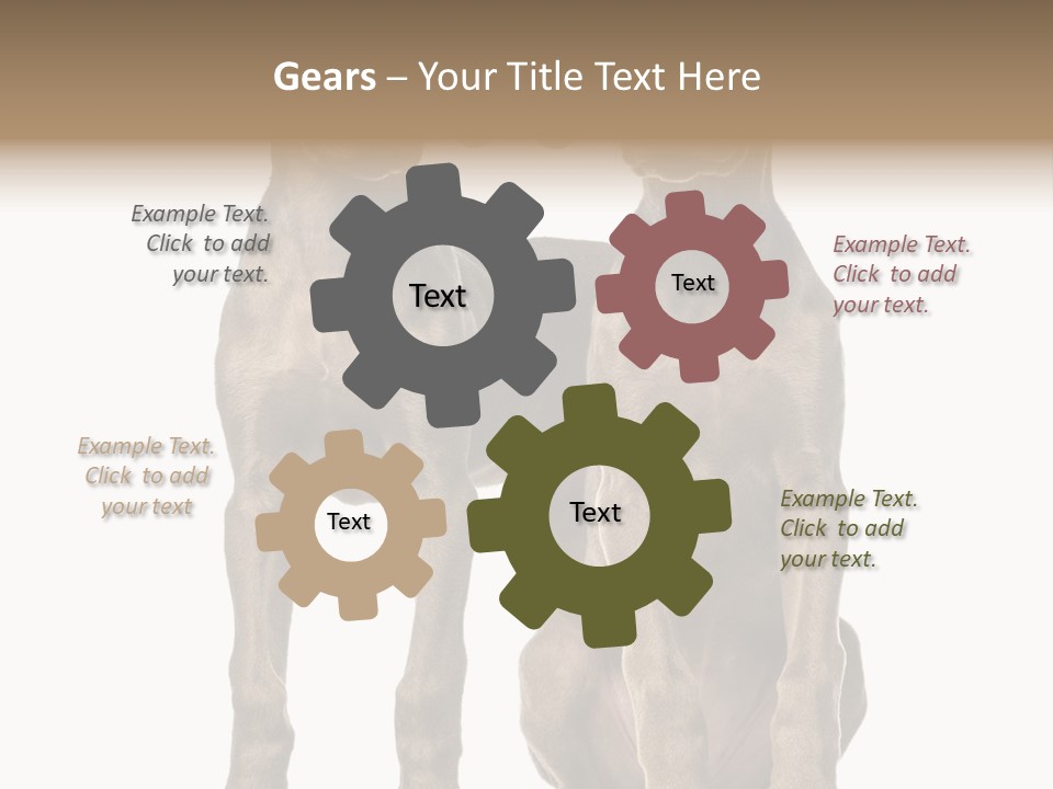 Mammal Purebred No People PowerPoint Template