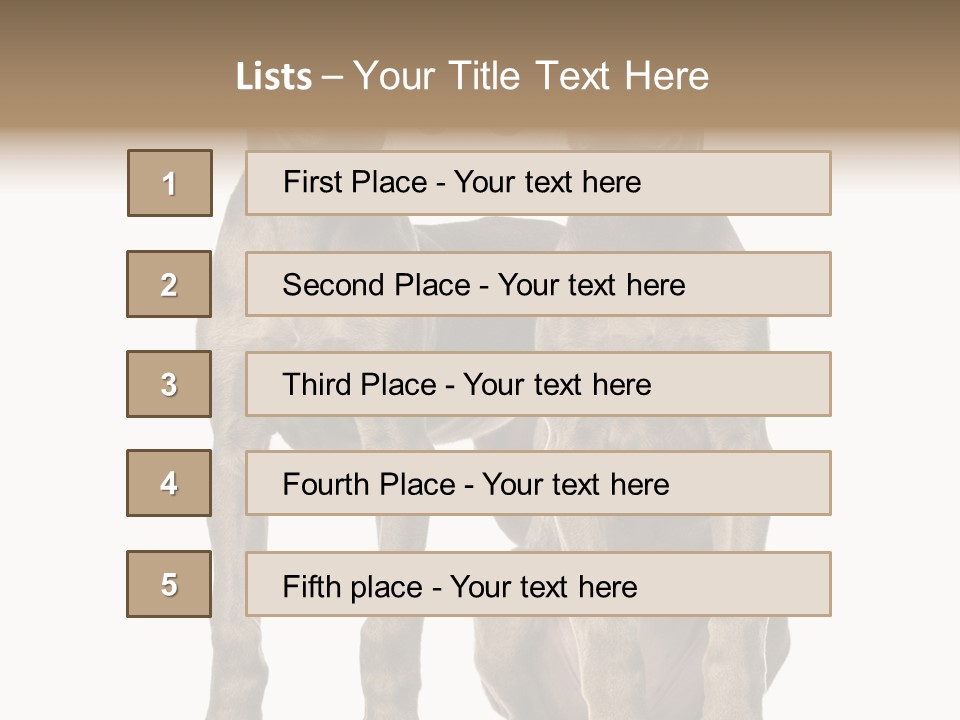 Mammal Purebred No People PowerPoint Template