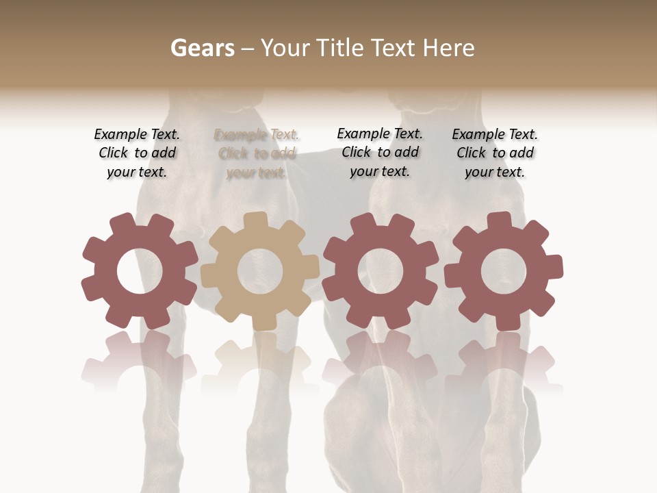 Mammal Purebred No People PowerPoint Template