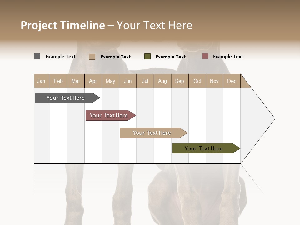 Mammal Purebred No People PowerPoint Template