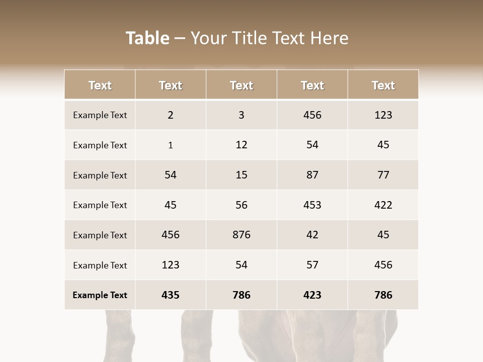 Mammal Purebred No People PowerPoint Template