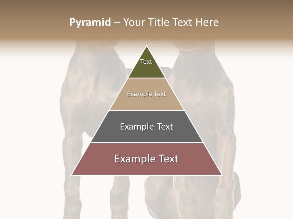 Mammal Purebred No People PowerPoint Template