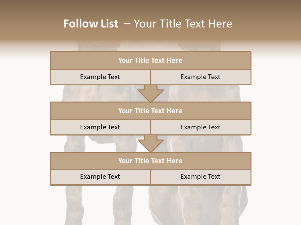 Mammal Purebred No People PowerPoint Template