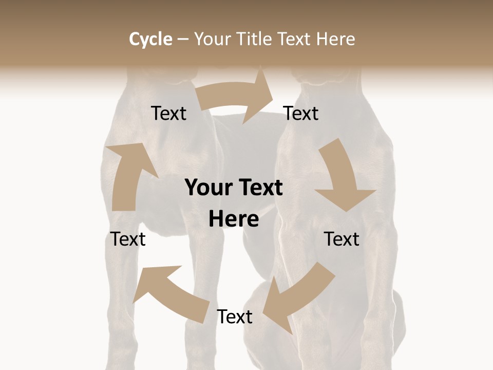 Mammal Purebred No People PowerPoint Template