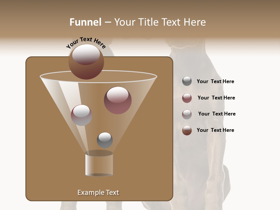 Mammal Purebred No People PowerPoint Template