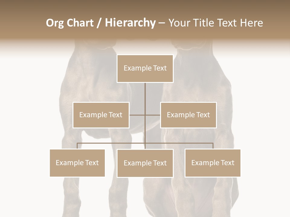 Mammal Purebred No People PowerPoint Template