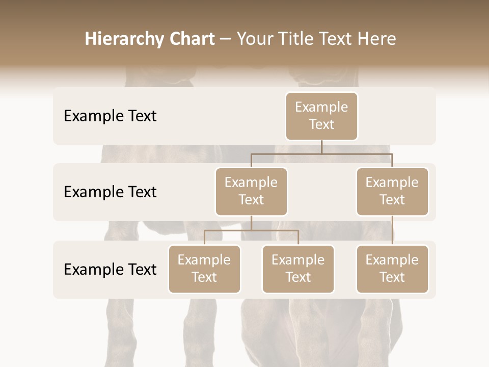 Mammal Purebred No People PowerPoint Template