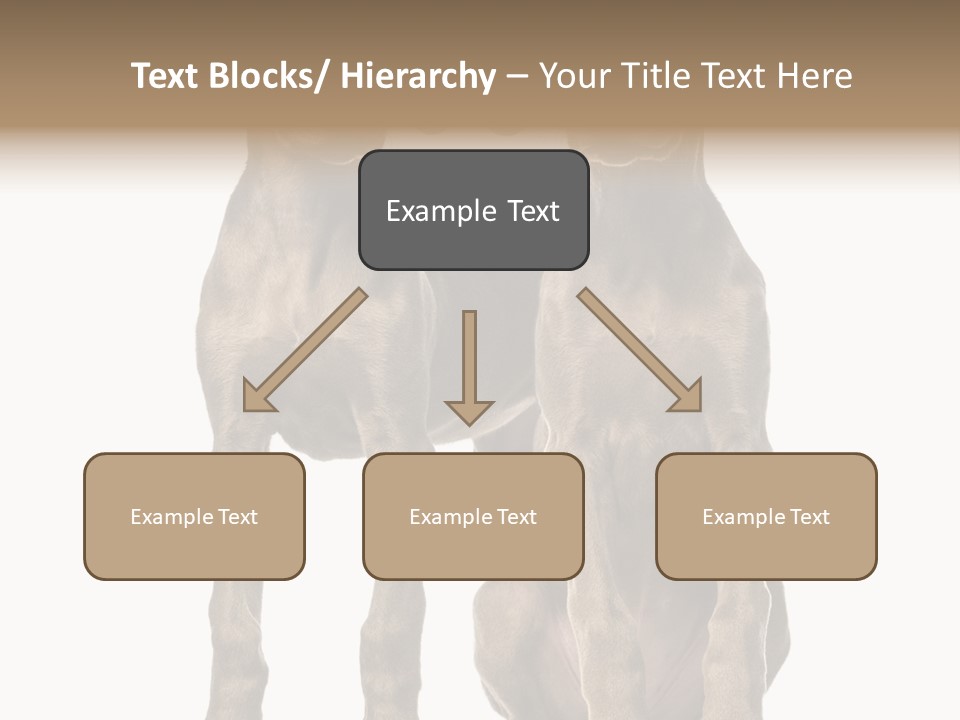 Mammal Purebred No People PowerPoint Template