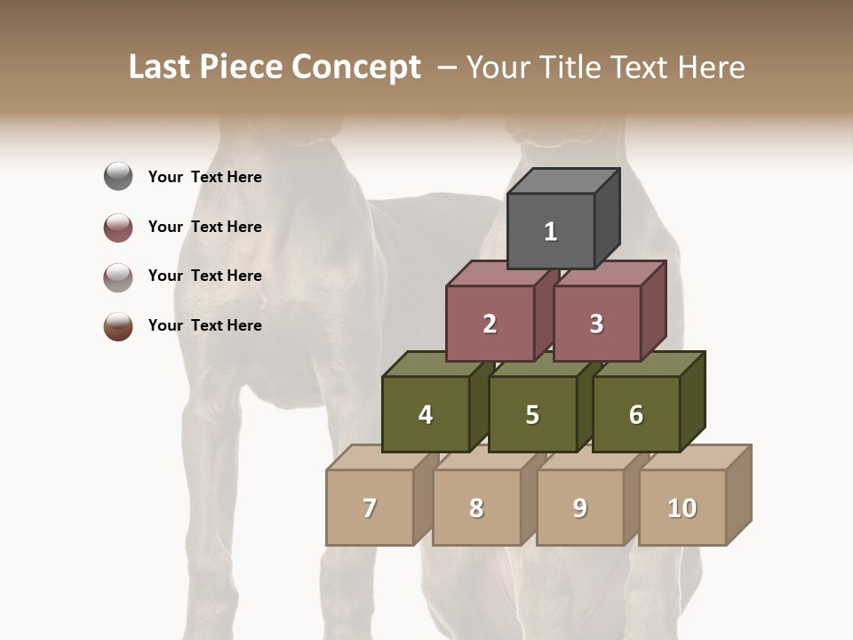 Mammal Purebred No People PowerPoint Template