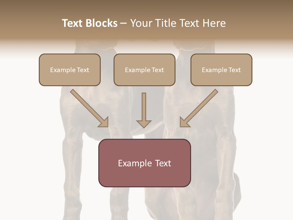 Mammal Purebred No People PowerPoint Template