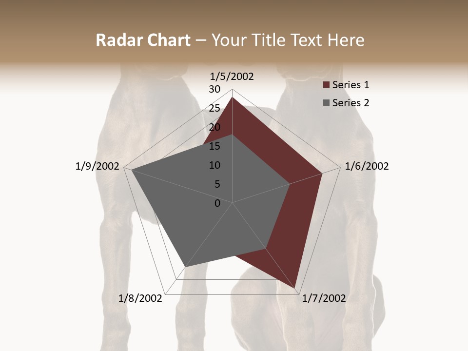 Mammal Purebred No People PowerPoint Template