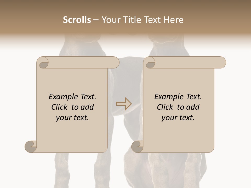 Mammal Purebred No People PowerPoint Template