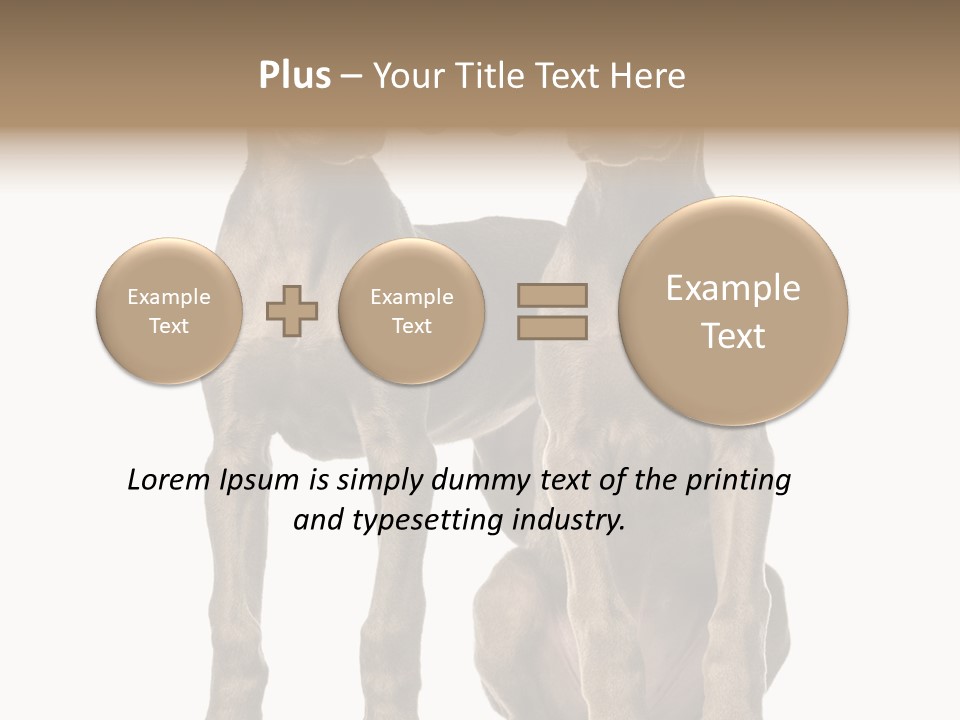 Mammal Purebred No People PowerPoint Template