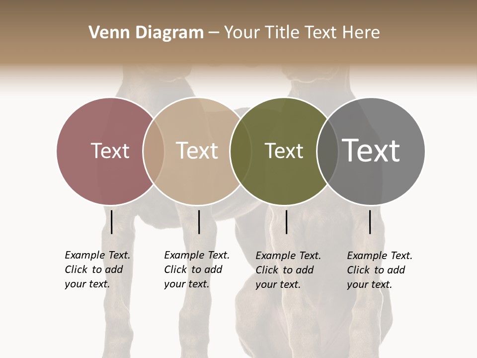 Mammal Purebred No People PowerPoint Template