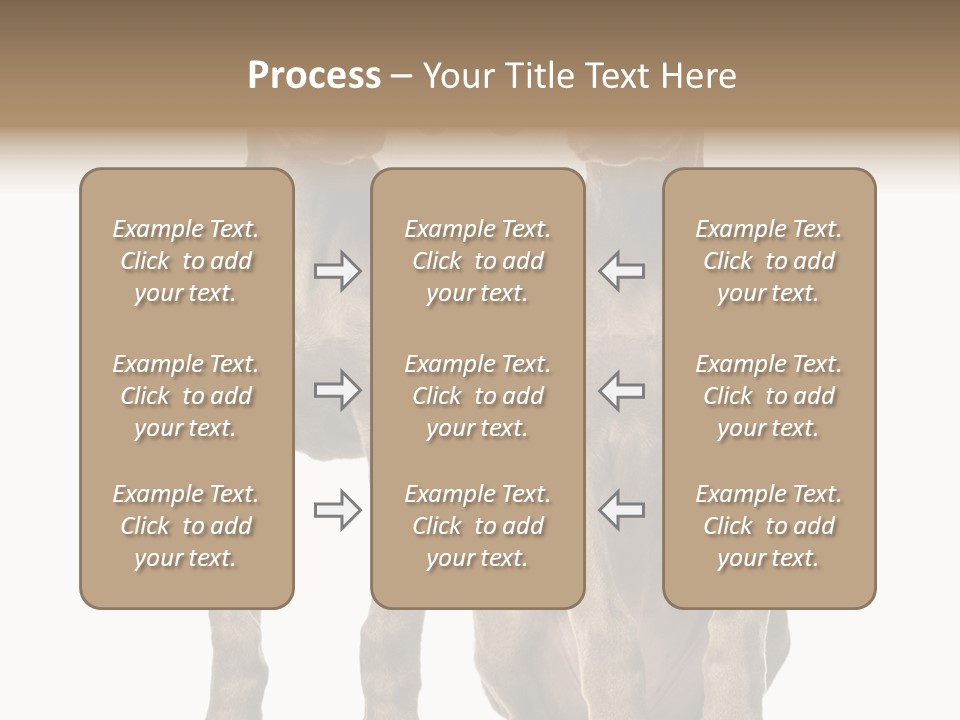Mammal Purebred No People PowerPoint Template