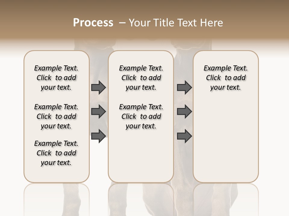 Mammal Purebred No People PowerPoint Template