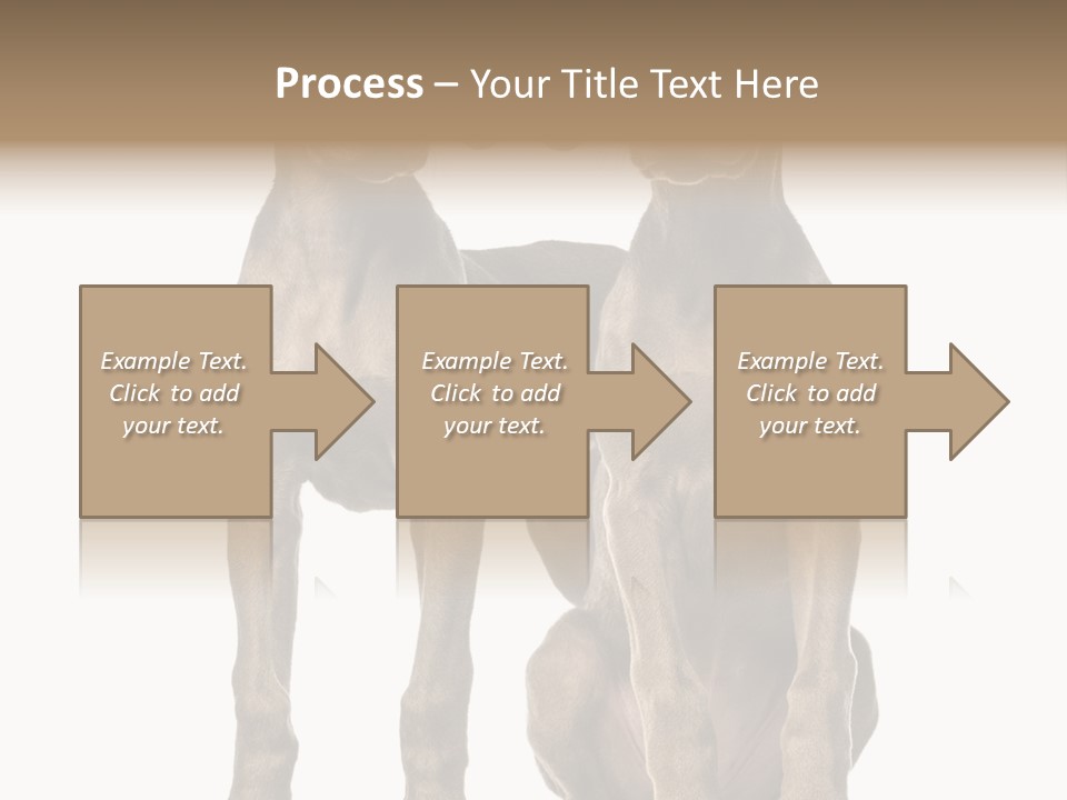 Mammal Purebred No People PowerPoint Template