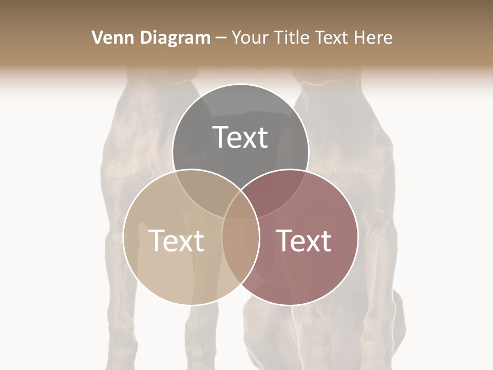 Mammal Purebred No People PowerPoint Template