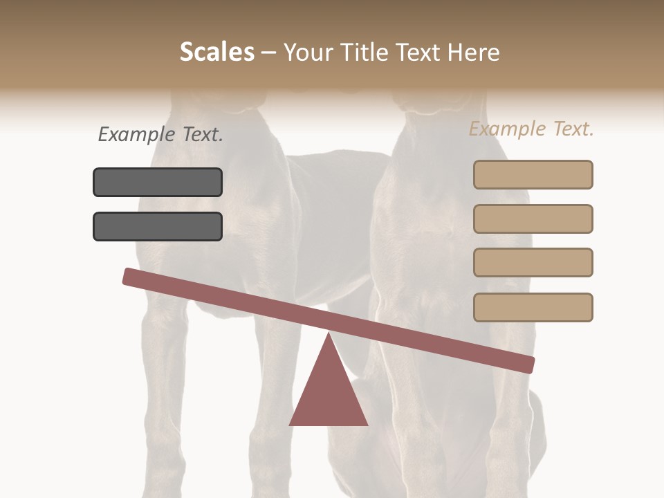 Mammal Purebred No People PowerPoint Template