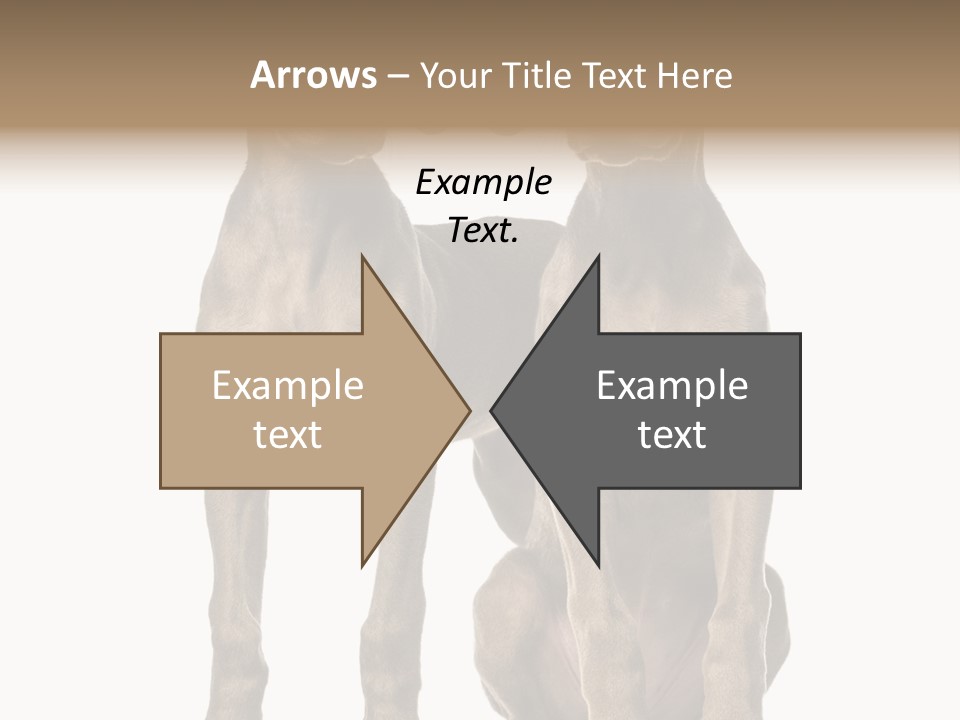 Mammal Purebred No People PowerPoint Template