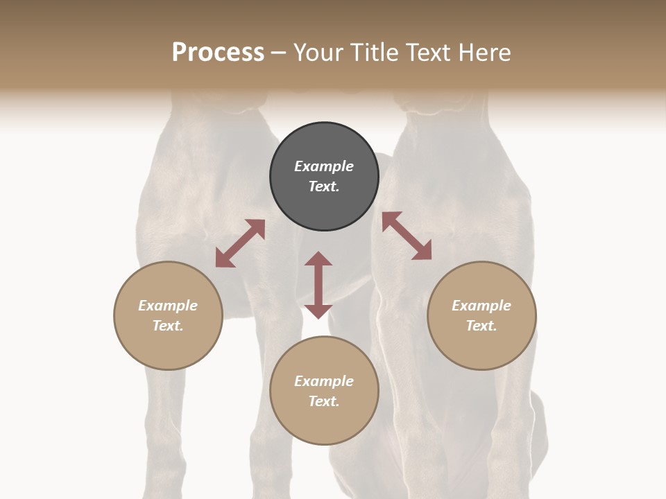 Mammal Purebred No People PowerPoint Template