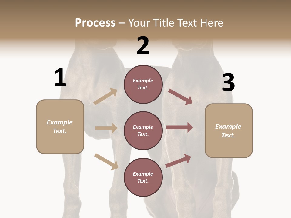 Mammal Purebred No People PowerPoint Template