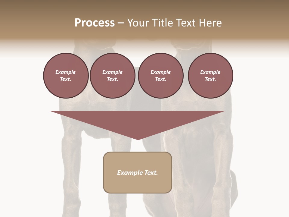 Mammal Purebred No People PowerPoint Template