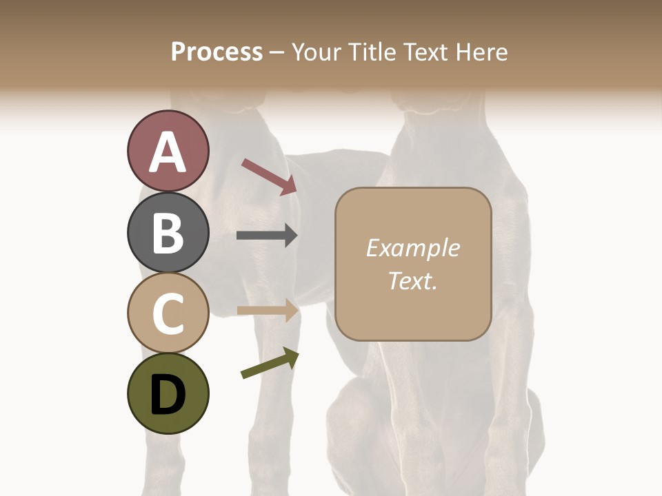 Mammal Purebred No People PowerPoint Template