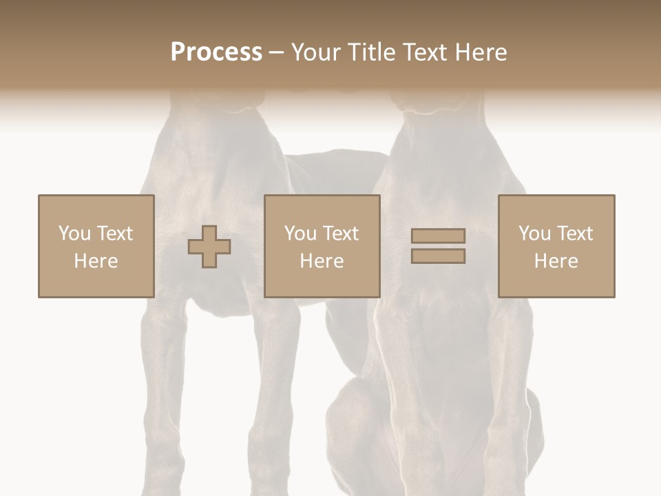 Mammal Purebred No People PowerPoint Template